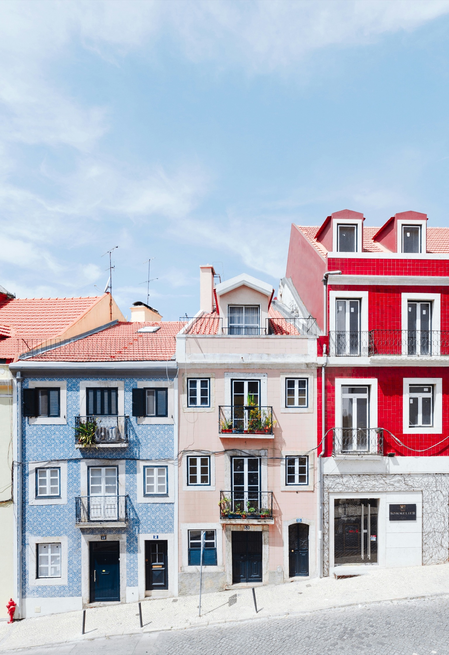 Remote Worker from Seattle – Diversifies Portfolio with Portuguese Farmland